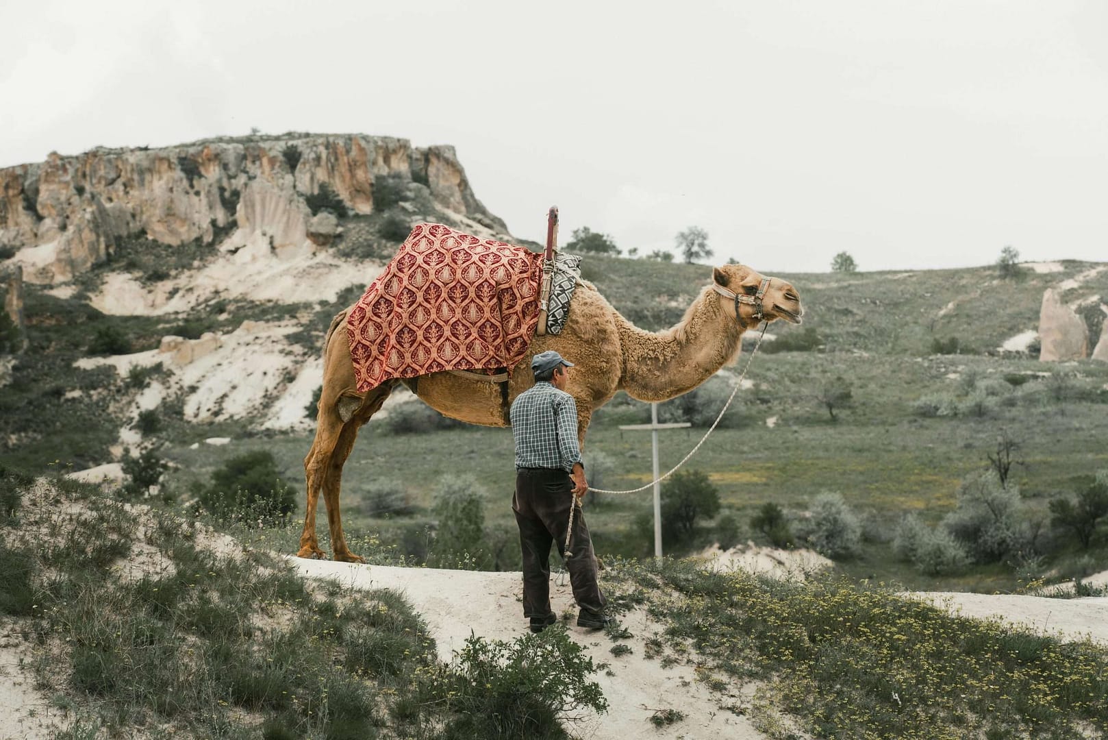 Best Antalya tour with Cappadocia Ephesus and Pamukkale 1 cappadocia camel ride scaled 1